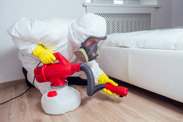 Best Pest Prevention Services  in Port Dickinson, NY